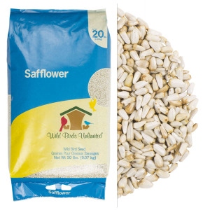 Safflower