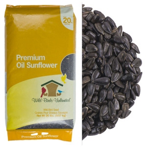 Black Oil Sunflower